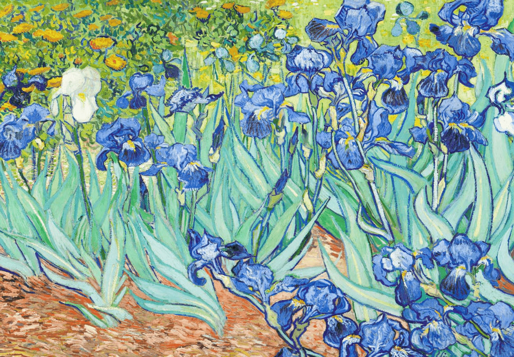 Canvas Print Vincent Van Gogh – Irises - Iconic Post-Impressionist