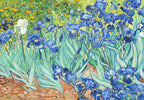 Canvas Print Vincent Van Gogh – Irises - Iconic Post-Impressionist