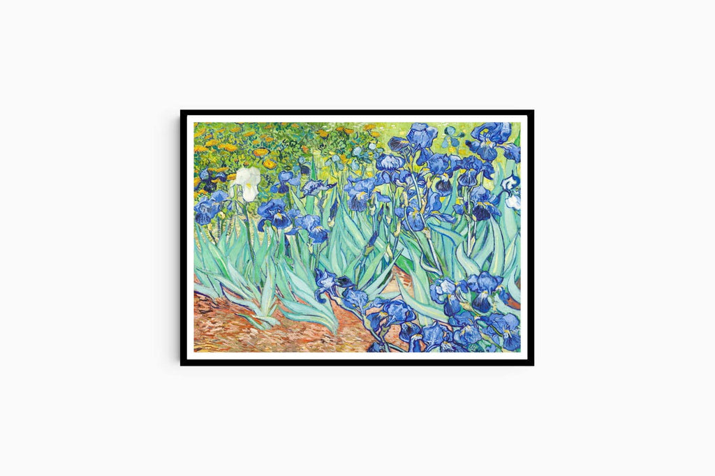 "Vincent Van Gogh - Irises"