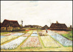 "Vincent Van Gogh - Flower Beds in Autumn"