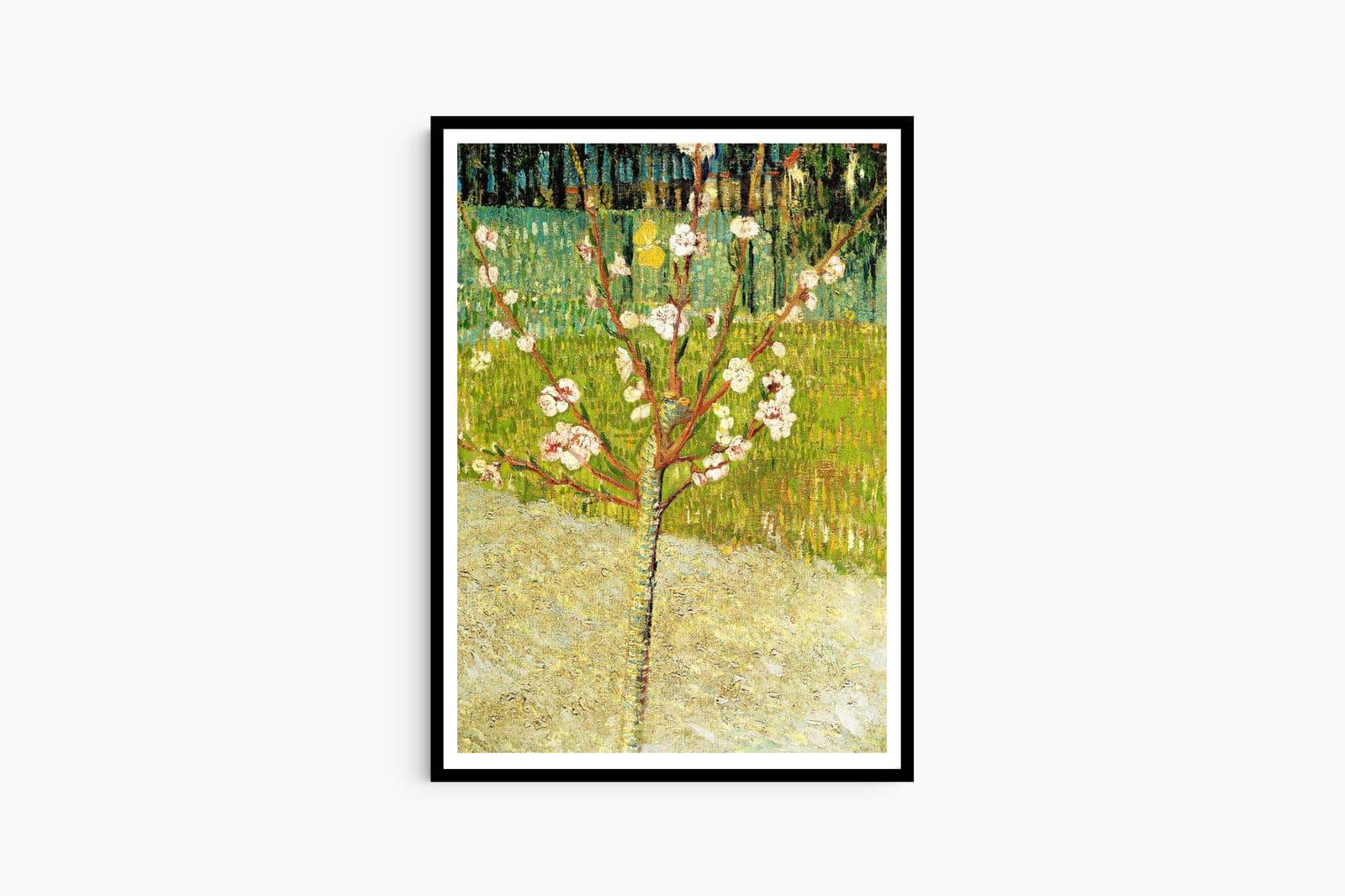 "Vincent Van Gogh - Almond Tree in Blossom"