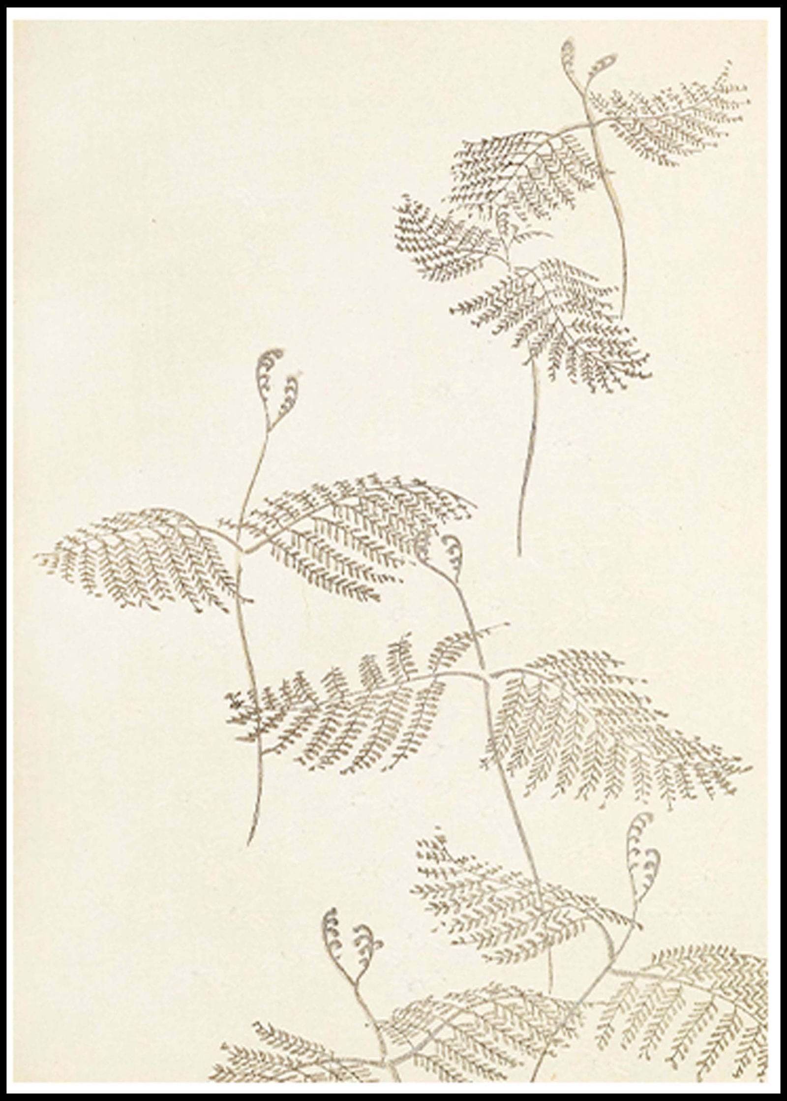 "Shin-Bijutsukai - Bijutsukai No 18 Poster - Hakyarts"