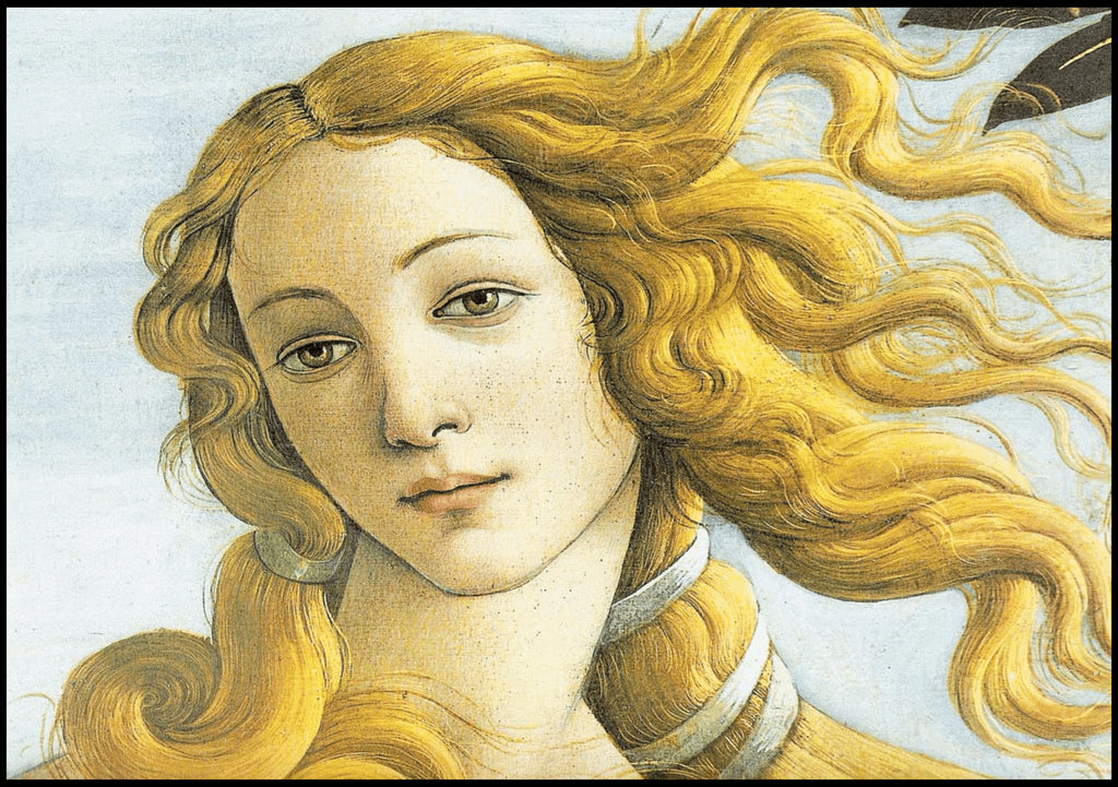 "Sandro Botticelli - Venus Head - Hakyarts"
