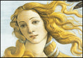 "Sandro Botticelli - Venus Head - Hakyarts"