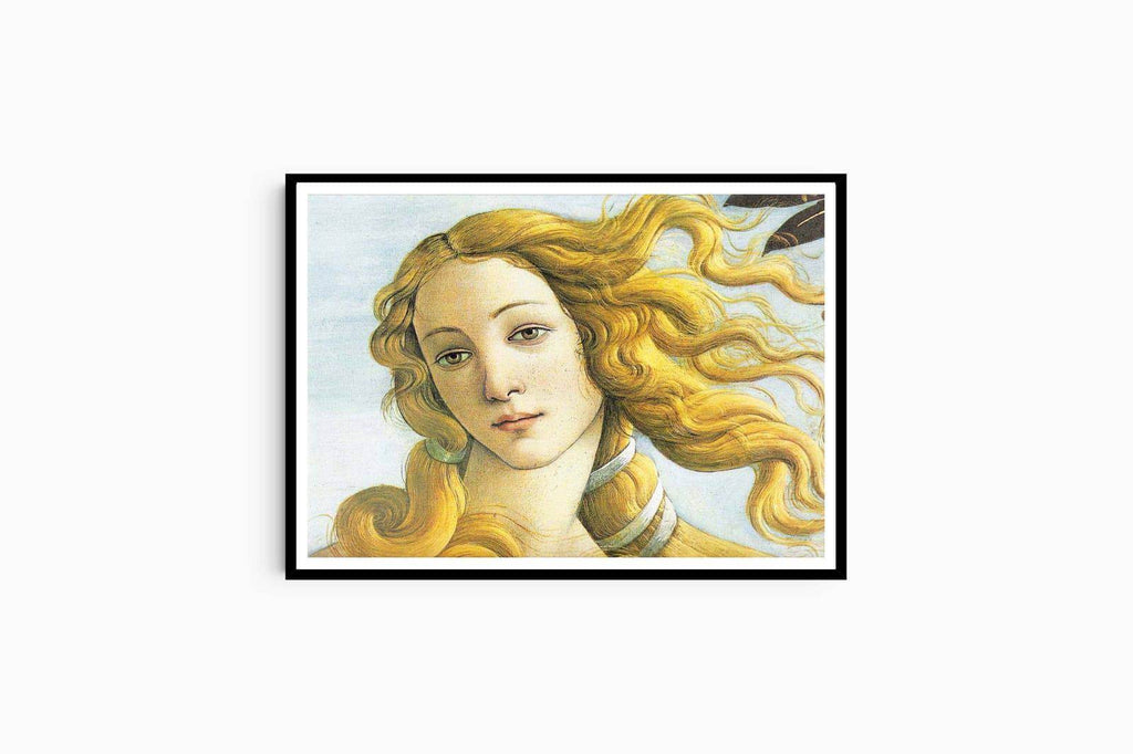 "Sandro Botticelli - Venus Head - Hakyarts"