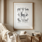 Antilopina “Antilopen” by Ernst Haeckel – Scientific Mammal Illustration Art Print