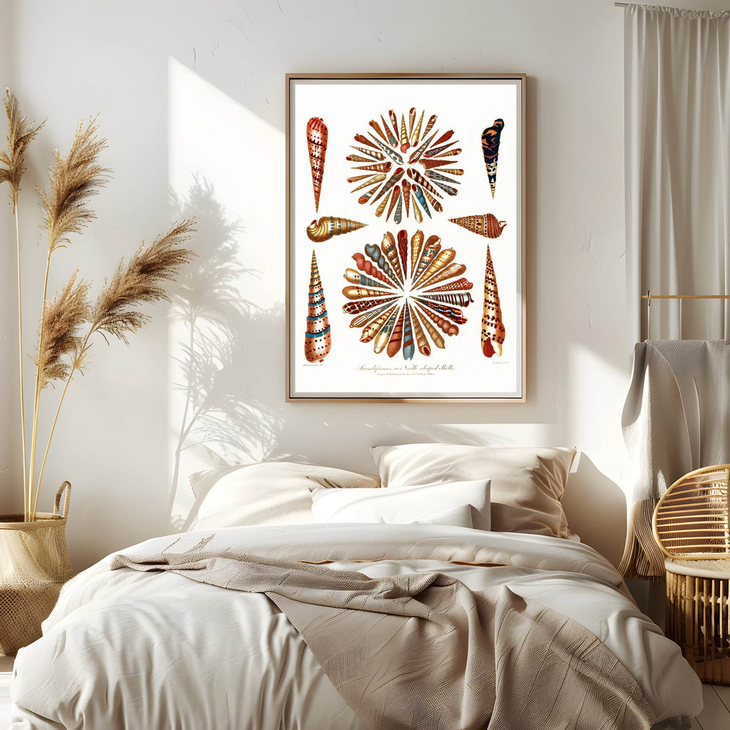 Encyclopaedia Londinensis – Conchology Pl. 11 - Hakyarts