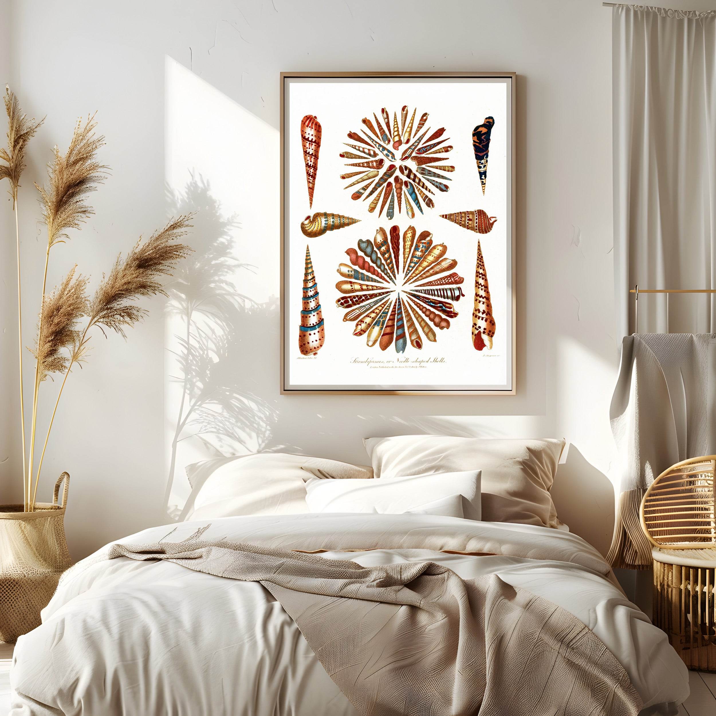 Encyclopaedia Londinensis – Conchology Pl. 11 - Hakyarts