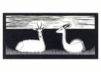 Two Gazelles - Hakyarts