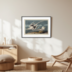 Tropic Bird by John James Audubon, 1861 – Vintage Ornithology Art Print | Classic Wildlife Wall Decor - Hakyarts