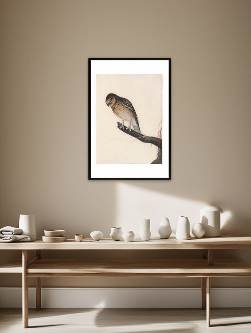 Illustration d'oiseau perché – Impression nature vintage | Décoration murale ornithologique élégante | Hakyarts