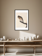 Perched Bird Illustration – Vintage Nature Print | Elegant Ornithology Wall Art