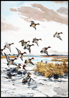 Red-Heads Coming In by Frank Weston – Vintage Figurative Wall Art Print - Hakyarts