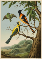 Albert Eckhout – Tuite, Iapui und Caiicupeu caya – Ethnographic Illustration Art Print