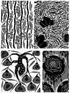 Émile-Allain Séguy – Tropical Motifs Collection -3 Prints Mix & Match