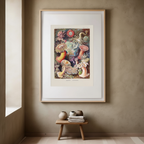 Actiniae “Seeanemonen” by Ernst Haeckel – Scientific Marine Life Art Print