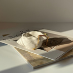 Minimalist Seashell  Storage Tray – White Cream  Home Decor