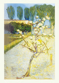 Small Pear in Tree Blossom