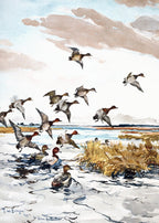Red-Heads Coming In by Frank Weston – Vintage Figurative Wall Art Print - Hakyarts