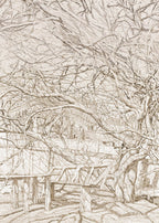 Early Spring - Hakyarts