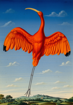 Guara by Albert Eckhout – Exotic Animal Illustration Art Print - Hakyarts