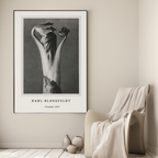 Aconitum by Karl Blossfeldt – Botanical Photography Art Print - Hakyarts