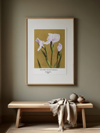 Iris Kæmpferi by Ogawa Kazumasa – Elegant Japanese Botanical Print - Hakyarts