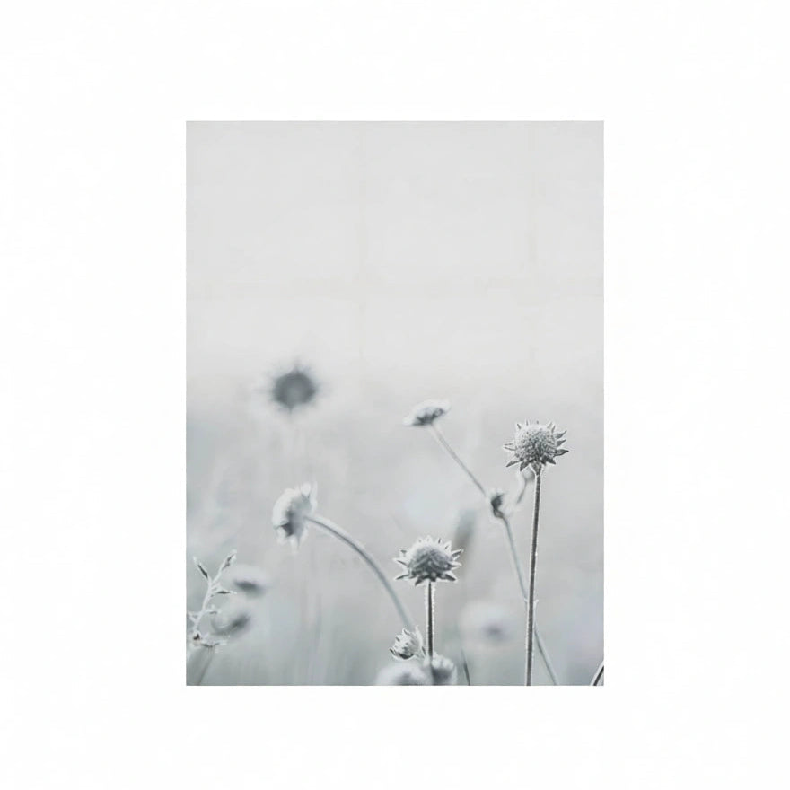 Canvas Print Make A Wish Floral Poster – Vintage Botanical Wall Art