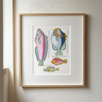 Poissons Plate 46 – Louis Renard Poster | Vintage Natural History Art Print