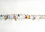 A Perch of Birds