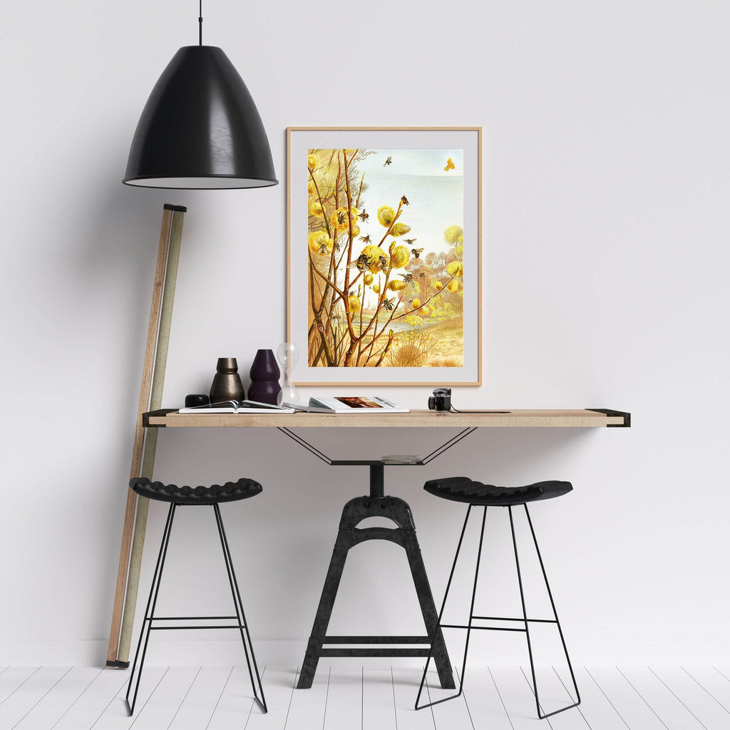 The Insects, Millipedes and Spiders Pl 07 - Hakyarts