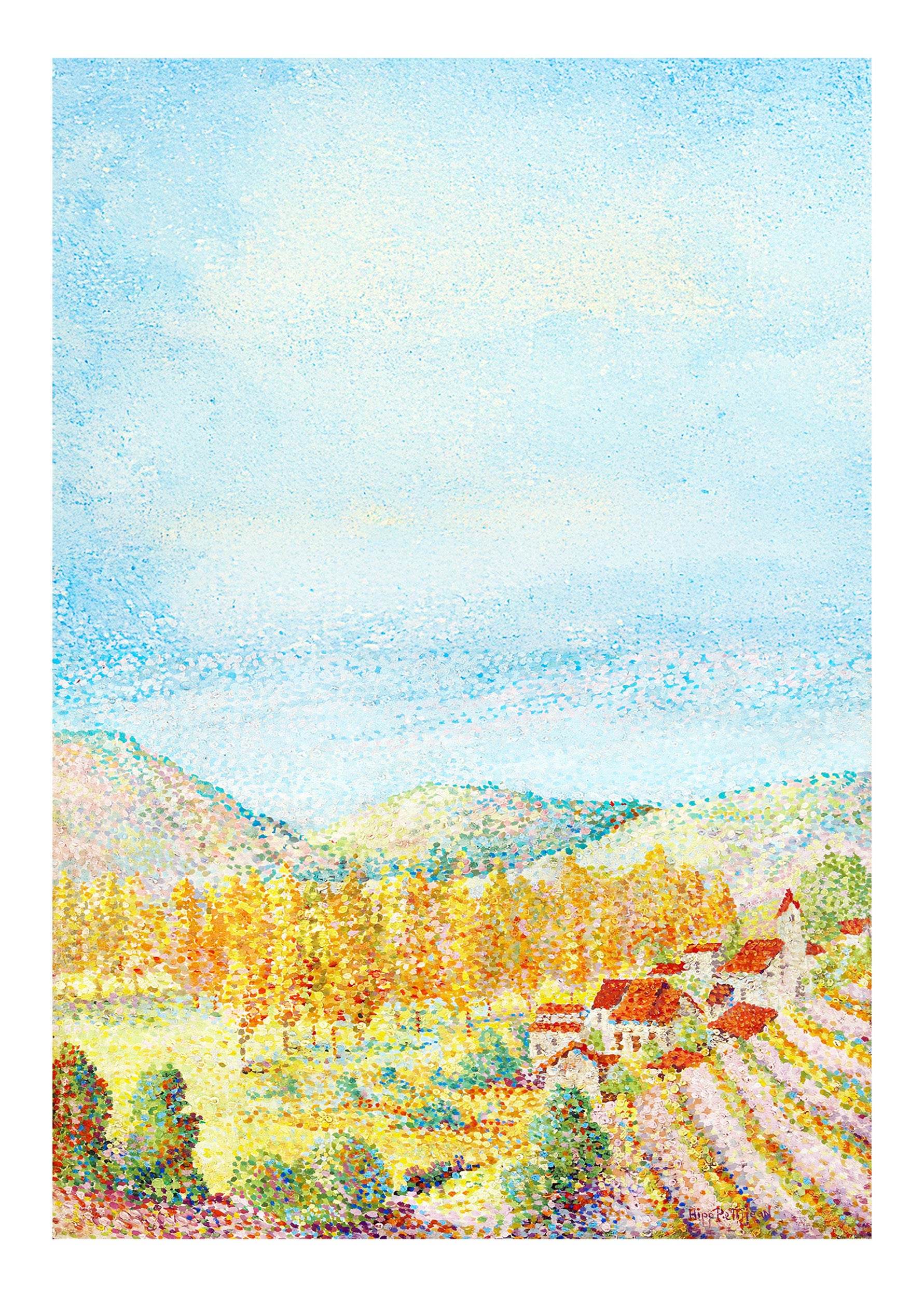 Vineyard in Southern France - Hakyarts