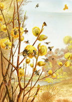 The Insects, Millipedes and Spiders Pl 07 - Hakyarts
