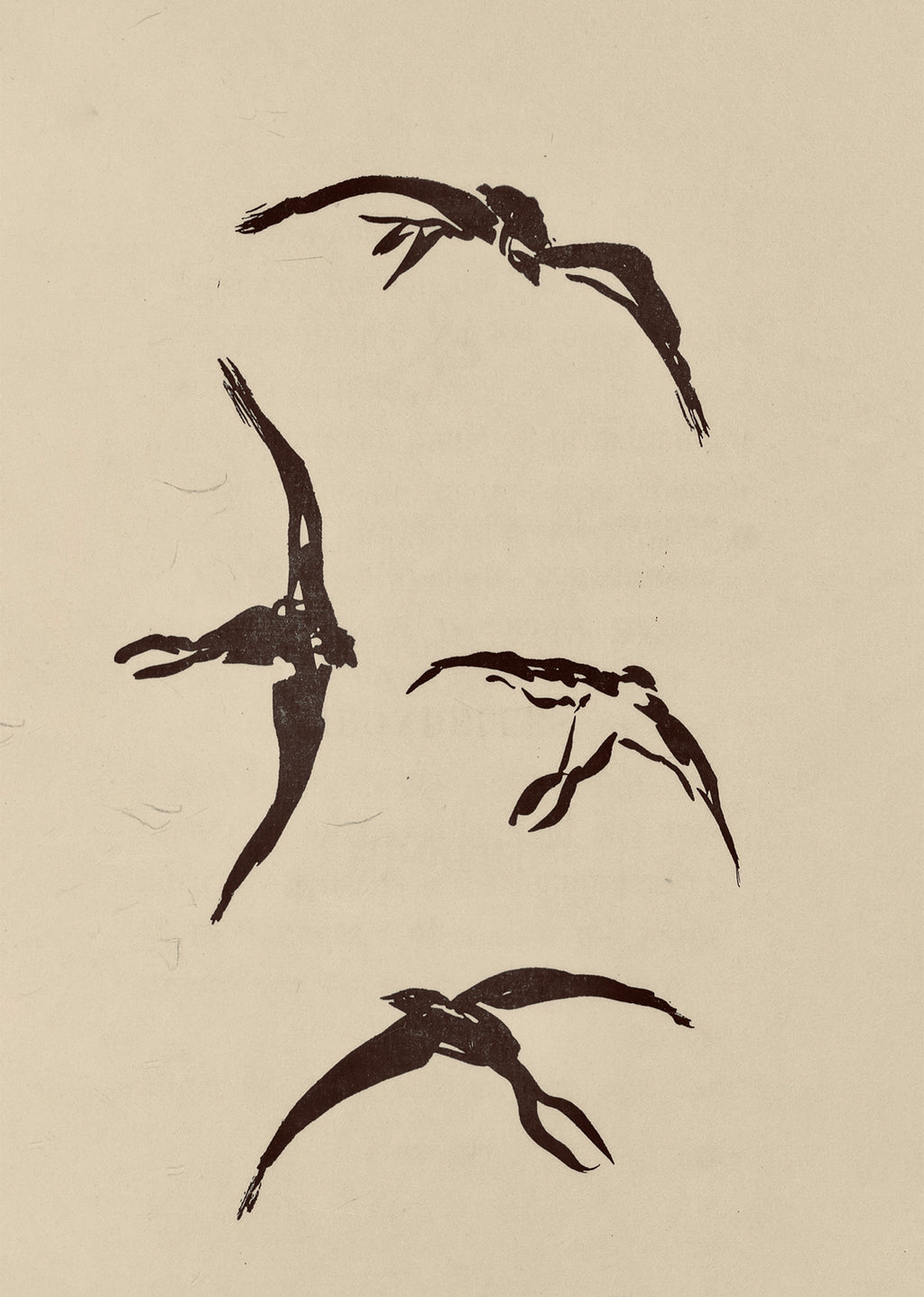 Swallow Flight Pattern – Vintage Ornithology Illustration Print | Graceful Bird Wall Art