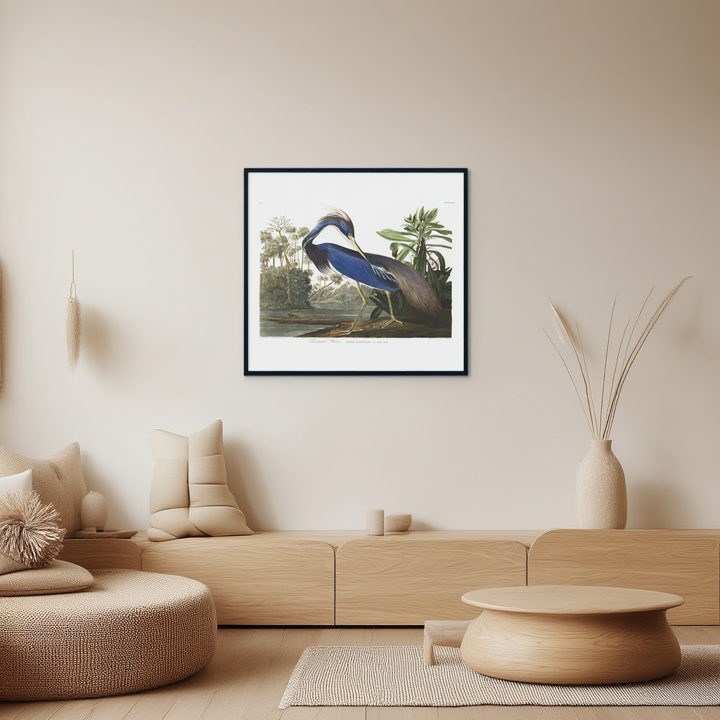 Louisiana Heron by John James Audubon – Ornithological Art Print