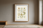 Bryozoa “Moostiere” by Ernst Haeckel – Scientific Marine Life Art Print