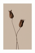Brown & Earthy Florals – 6 Prints Mix & Match Collection - Hakyarts