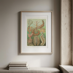 Chaetopoda “Borstenwürmer” by Ernst Haeckel – Scientific Marine Life Art Print