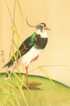 Wagtail – Ohara Koson Poster | Japanese Nature Art Print - Hakyarts