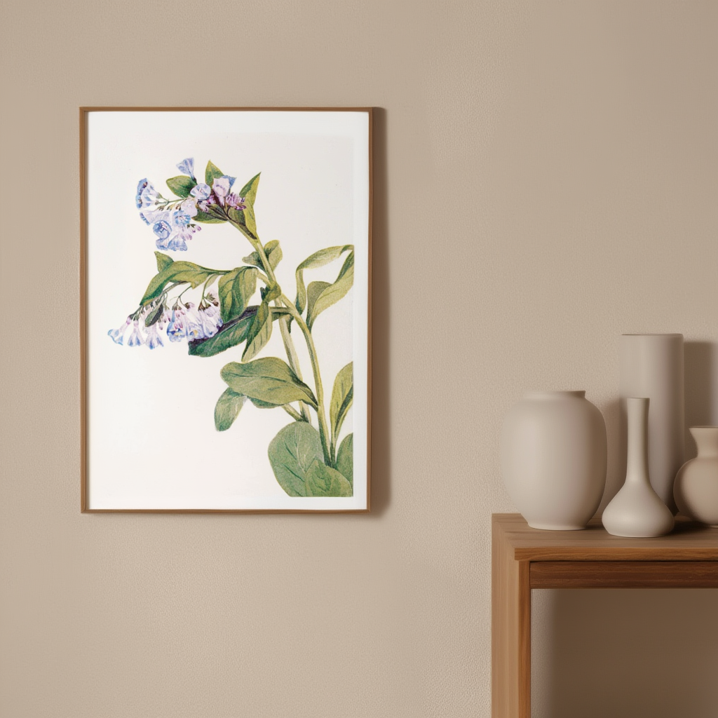 Mary Vaux Walcott - Virginia Bluebells