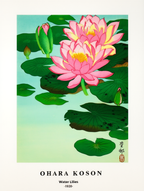 Ohara Koson – Water Lilies Poster – Serene Japanese Woodblock Art Print - Hakyarts