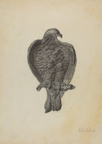 Set of 4 Art Prints – Vintage Birds - Hakyarts