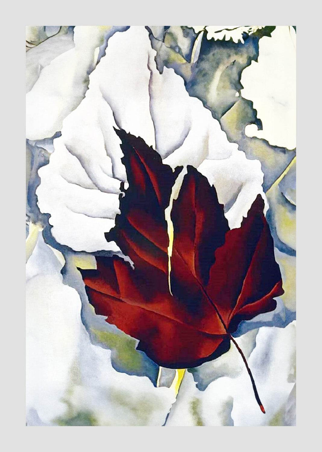 Pattern of Leaves - Hakyarts