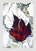 Pattern of Leaves - Hakyarts