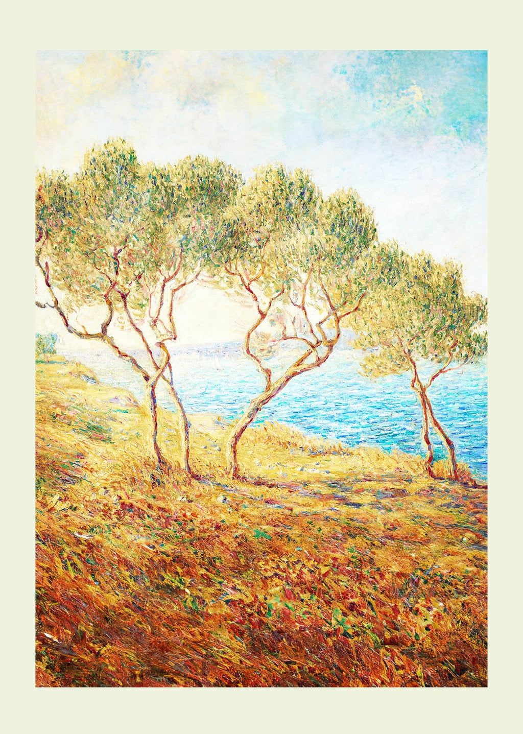 Les Oliviers, Effet de Soleil aux Martigues - Hakyarts