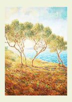 Les Oliviers, Effet de Soleil aux Martigues - Hakyarts