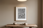 Delphinium (“Larkspur”) by Karl Blossfeldt – Botanical Photography Art Print - Hakyarts