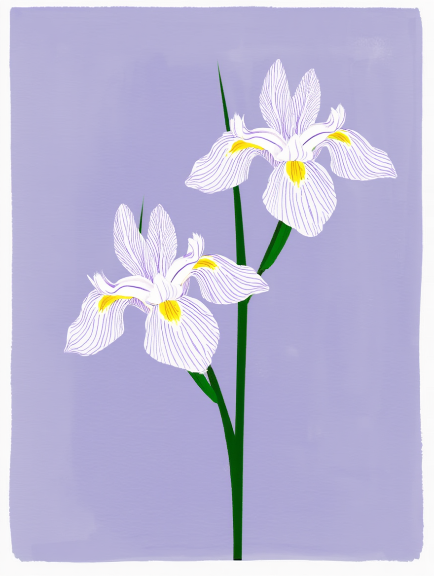 Brown & Earthy Florals – 7 Prints Mix & Match Collection