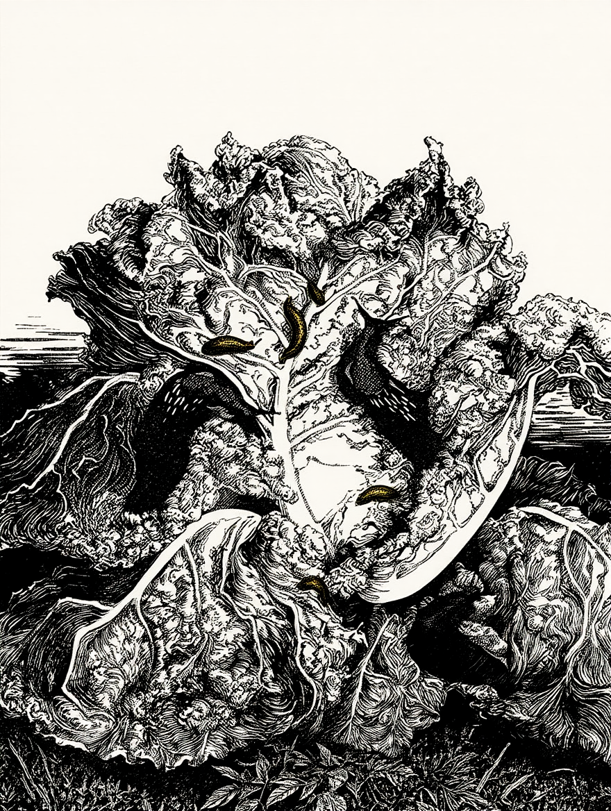 Julie de Graag - Three slugs On A Cabbage