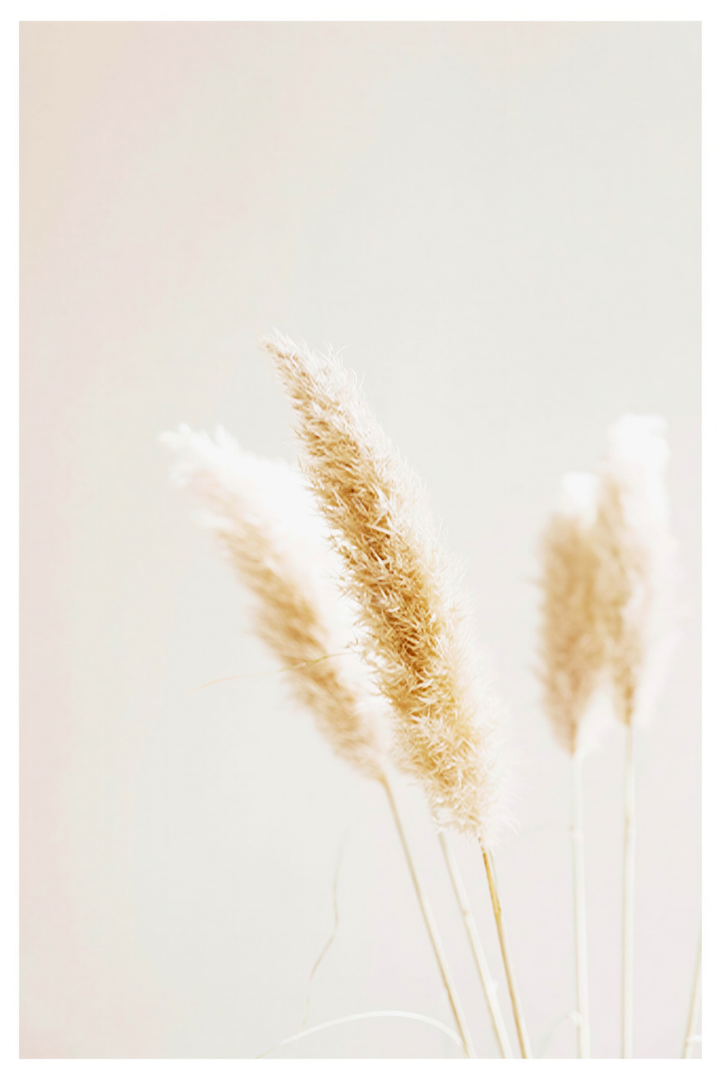 Beige Wheat Poster | Minimalist Botanical Wall Art Print - Hakyarts